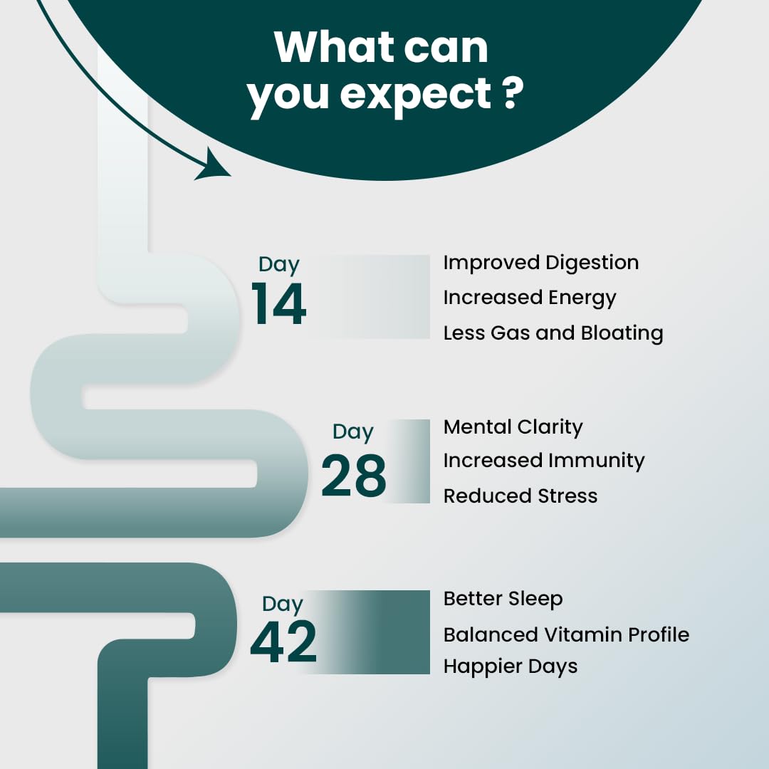 Supply6 360 Ultimate Health Powder for Women & Men | Daily Supplement with 63+Vitamins, Minerals, Probiotics, and Superfoods | Daily Greens | Gut Health supplements, Energy, Immunity (30 Servings)