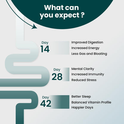 Supply6 360 Ultimate Health Powder for Women & Men | Daily Supplement with 63+Vitamins, Minerals, Probiotics, and Superfoods | Daily Greens | Gut Health supplements, Energy, Immunity (30 Servings)