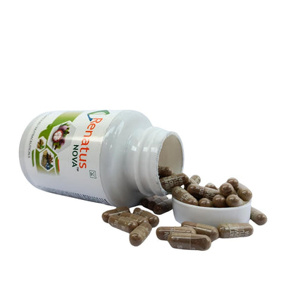 IdikaNutrition Renatus Nova Capsule 120 Ayurvedic - Renatus Nova Original 120 Capsule with 12 Natural Ingredients - Pack of 2
