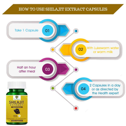 shilajit spirulina 60 Veg Capsule pack of 2