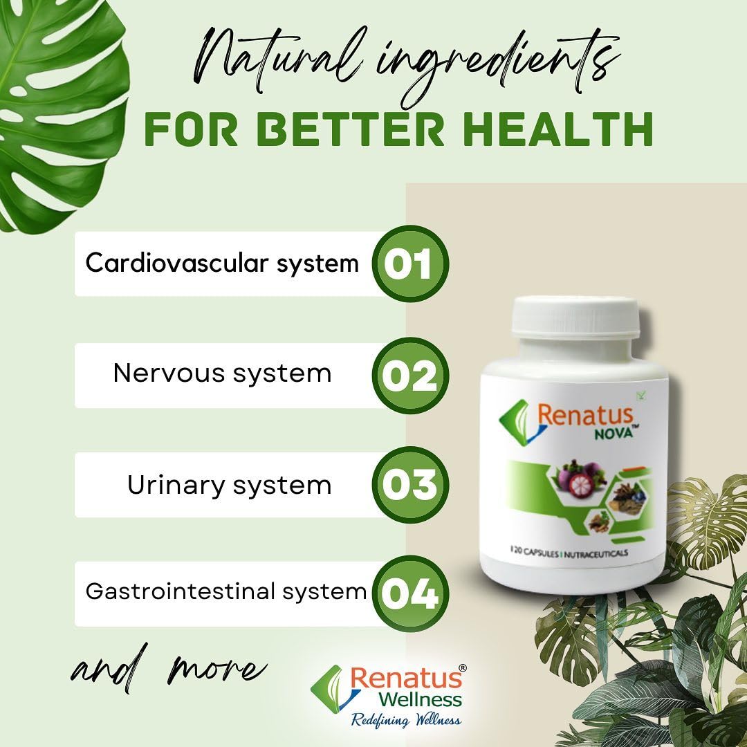IdikaNutrition Renaatus Nova Capsule 120 Ayurvedic - Renaatus Nova Original 120 Capsule with 12 Natural Ingredients
