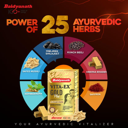 Baidyanath Vita ex Gold Plus -Pack of 20 Capsules | Made with Pure Himalayan Shilajit, Ashwagandha & Safed Musli, 1 count