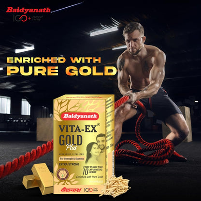 Baidyanath Vita ex Gold Plus -Pack of 20 Capsules | Made with Pure Himalayan Shilajit, Ashwagandha & Safed Musli, 1 count