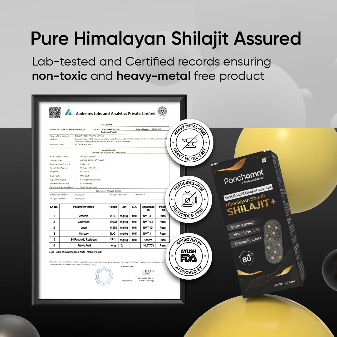 Panchamrit Himalayan Shilajit Sustained Release Capsules for Men & Women | 100% Ayurvedic | 500mg Pure Shilajeet Supplement 75% Fulvic Acid & Ginkgo Biloba | Boosts Energy & Stamina | 60 Caps