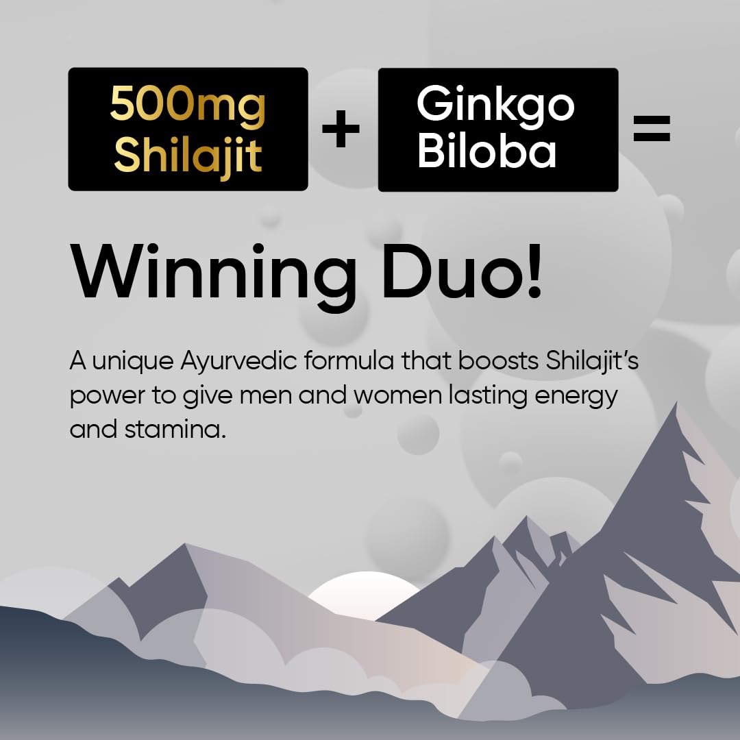 Panchamrit Himalayan Shilajit Sustained Release Capsules for Men & Women | 100% Ayurvedic | 500mg Pure Shilajeet Supplement 75% Fulvic Acid & Ginkgo Biloba | Boosts Energy & Stamina | 60 Caps