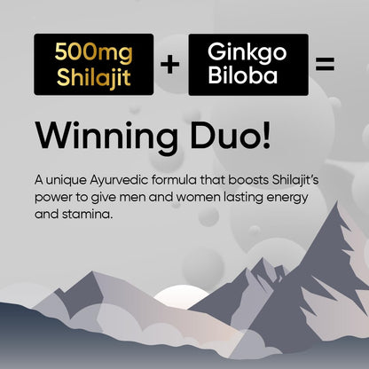 Panchamrit Himalayan Shilajit Sustained Release Capsules for Men & Women | 100% Ayurvedic | 500mg Pure Shilajeet Supplement 75% Fulvic Acid & Ginkgo Biloba | Boosts Energy & Stamina | 60 Caps