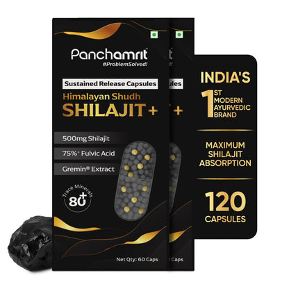 Panchamrit Himalayan Shilajit Sustained Release Capsules for Men & Women | 100% Ayurvedic | 500mg Pure Shilajeet Supplement 75% Fulvic Acid & Ginkgo Biloba | Boosts Energy & Stamina | 60 Caps