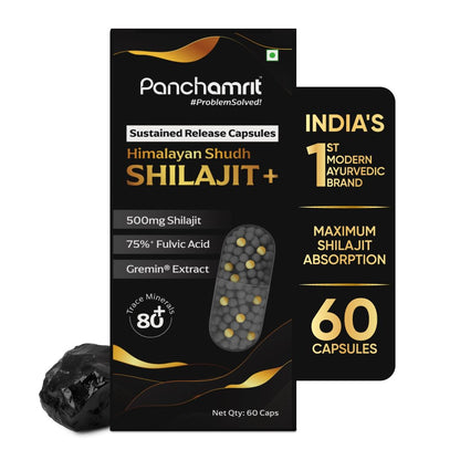 Panchamrit Himalayan Shilajit Sustained Release Capsules for Men & Women | 100% Ayurvedic | 500mg Pure Shilajeet Supplement 75% Fulvic Acid & Ginkgo Biloba | Boosts Energy & Stamina | 120 Caps