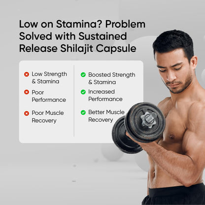 Panchamrit Himalayan Shilajit Sustained Release Capsules for Men & Women | 100% Ayurvedic | 500mg Pure Shilajeet Supplement 75% Fulvic Acid & Ginkgo Biloba | Boosts Energy & Stamina | 120 Caps