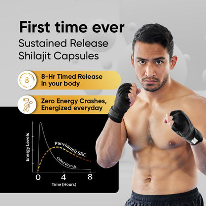 Panchamrit Himalayan Shilajit Sustained Release Capsules for Men & Women | 100% Ayurvedic | 500mg Pure Shilajeet Supplement 75% Fulvic Acid & Ginkgo Biloba | Boosts Energy & Stamina | 60 Caps