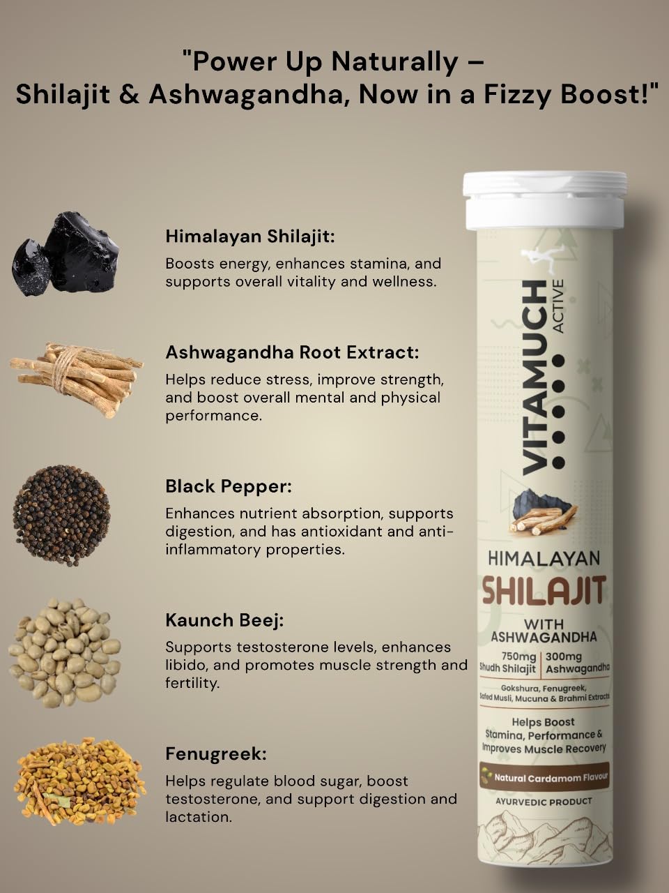 Shilajit Original Effervescent Tablets, With Ashwagandha, Gokshura & Safed Musli for Strength, Performance & Muscle recovery, Natural Cardamom Flavour (30 Day (Pack of 2)-Shilajit)