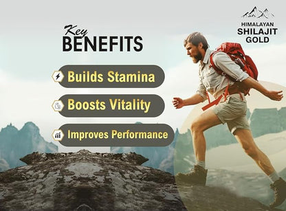 Himalayan Shilajit Gold Fizz | Orange | 500mg | Pack of 4