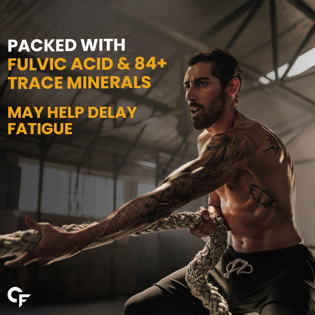 Carbamide Forte Shilajit Gold Capsules For Men With Pure Shilajit Swarna Bhasma,Gokshura,Ashwagandha | Himalayan Shilajiit For Men | Shilajeet Gold Original | Shilajeet Capsule | 60 Veg Capsules