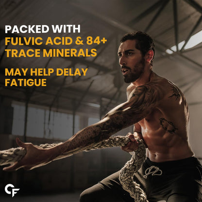 Carbamide Forte Shilajit Gold Capsules For Men With Pure Shilajit Swarna Bhasma,Gokshura,Ashwagandha | Himalayan Shilajiit For Men | Shilajeet Gold Original | Shilajeet Capsule | 60 Veg Capsules