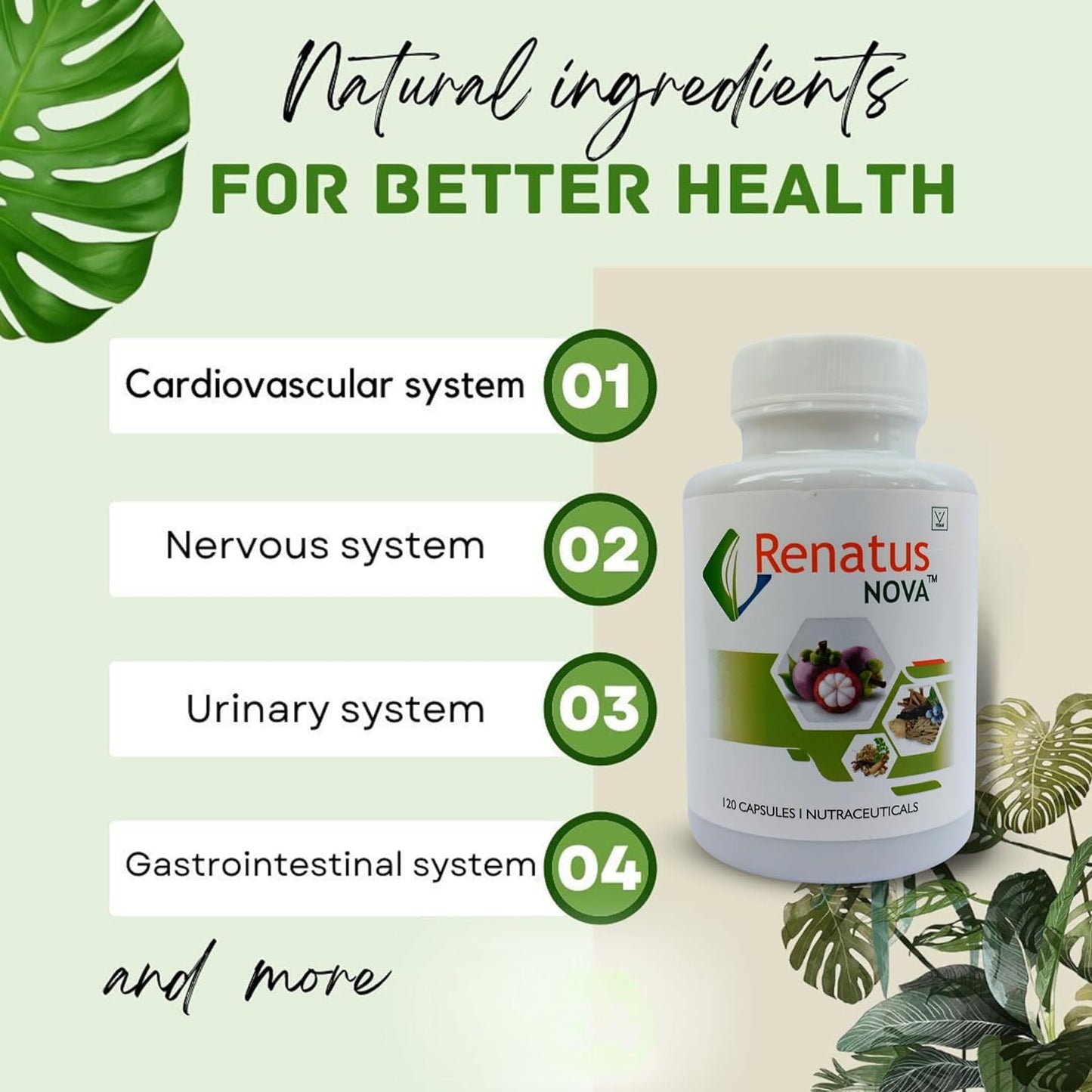 IdikaNutrition Renatus Nova Capsule 120 Ayurvedic - Renatus Nova Original 120 Capsule with 12 Natural Ingredients - Pack of 2