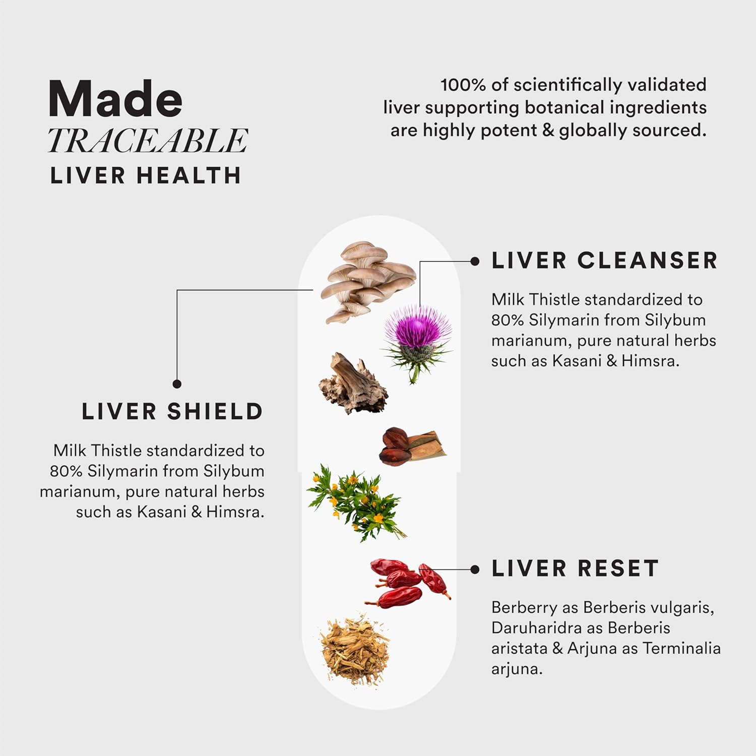 Wellbeing Nutrition Slow Liver Detox supplement with Pure Milk Thistle (80% Silymarin), Arjuna, Berberis, Detox & Digestive Enzymes| Supports Liver Health, Natural Detoxification | 60 Veg Capsules