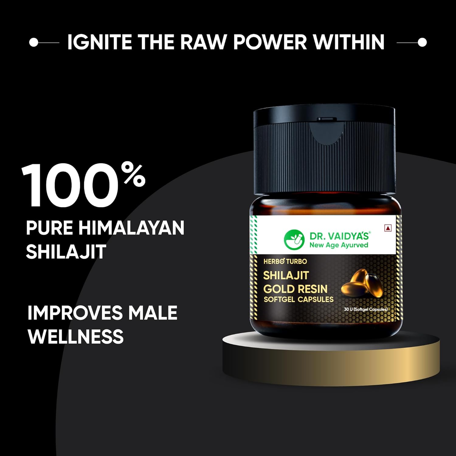 Dr. Vaidya's Herbo24Turbo Shilajit Resin Softgel Capsules | 30 Ayurvedic Capsules for Strength, Stamina & Energy in Men | Enriched with Pure Shilajit for Men & 24K Gold Bhasma (Pack of 2)