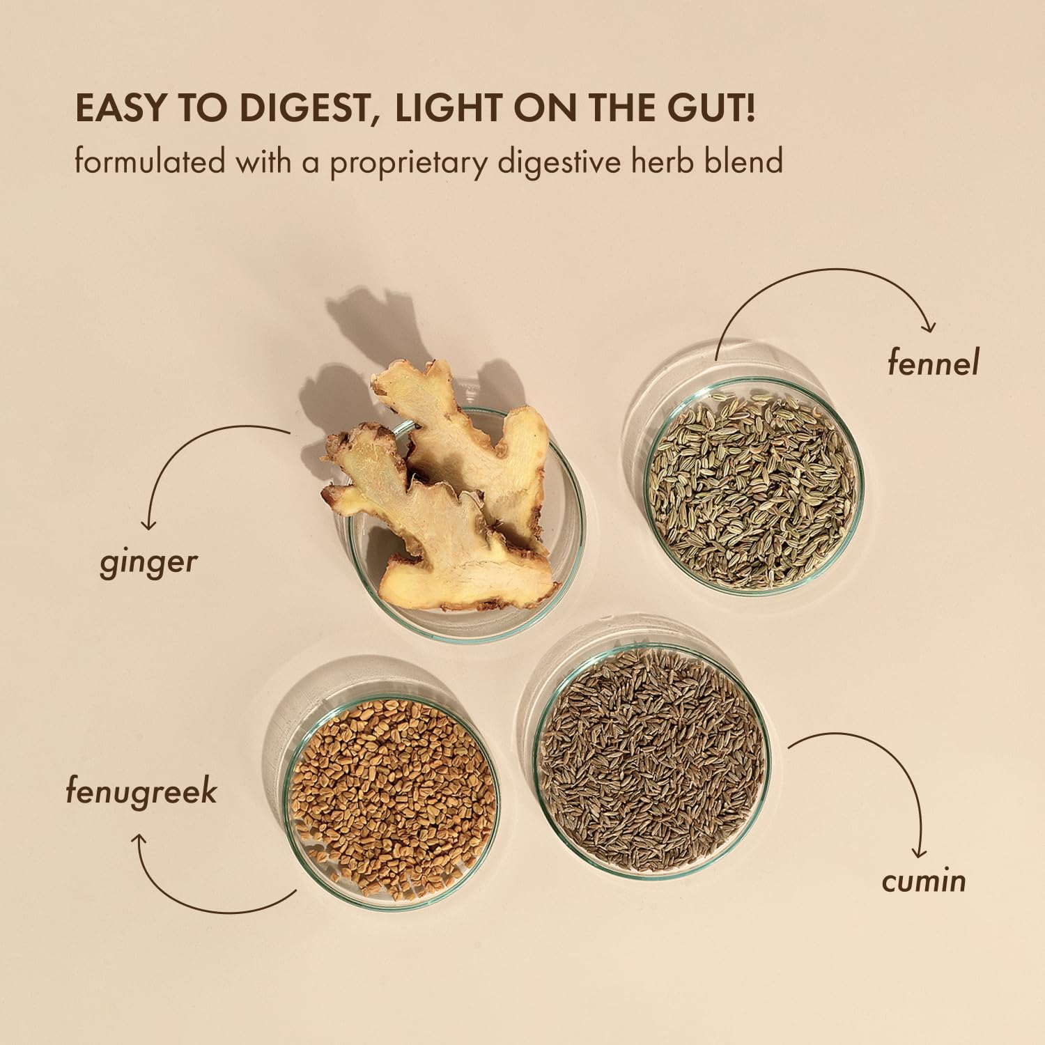 Cosmix No-Nonsense Plant Protein | 24 Protein/Serve, 500g Pouch | Japanese Ceremonial Matcha | Plant Based Protein, Pea & Rice Isolate | Clean, Easy to Digest | All Essential Amino Acids