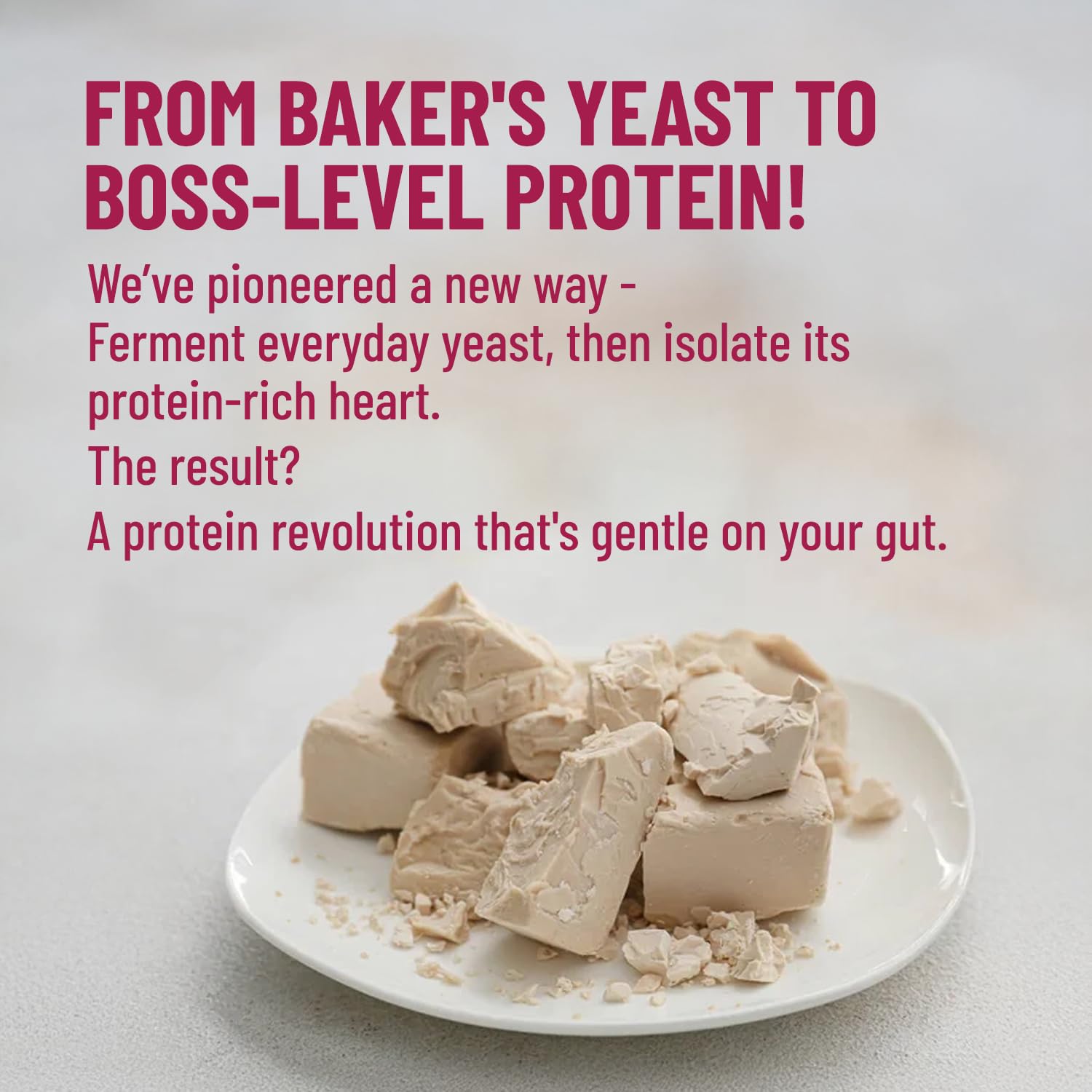 Mille Plant Protein | 31g Protein | Unflavoured | Made with Fermented Yeast Protein Powder | No Bloat, Vegan, Heat-Stable | Has All 9 Essential Amino Acids | Mixes into Any Dish | 500g