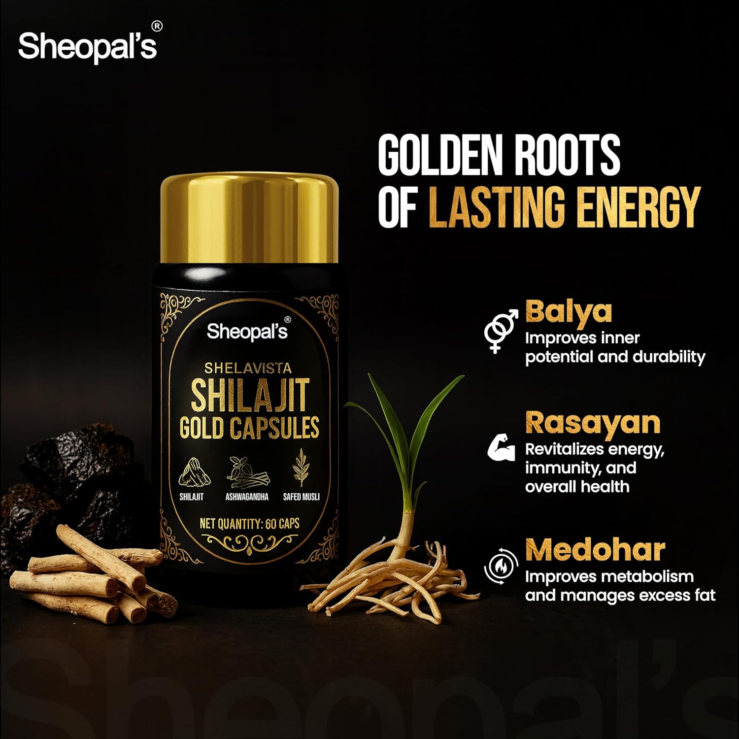 Sheopals Shelavista Shilajit/Shilajeet Gold 60 Capsules | For Stamina, Muscle Growth & Energy | Ashwagandha, Gokshura, Safed Musali With Other Action Herbs | 100% Ayurvedic