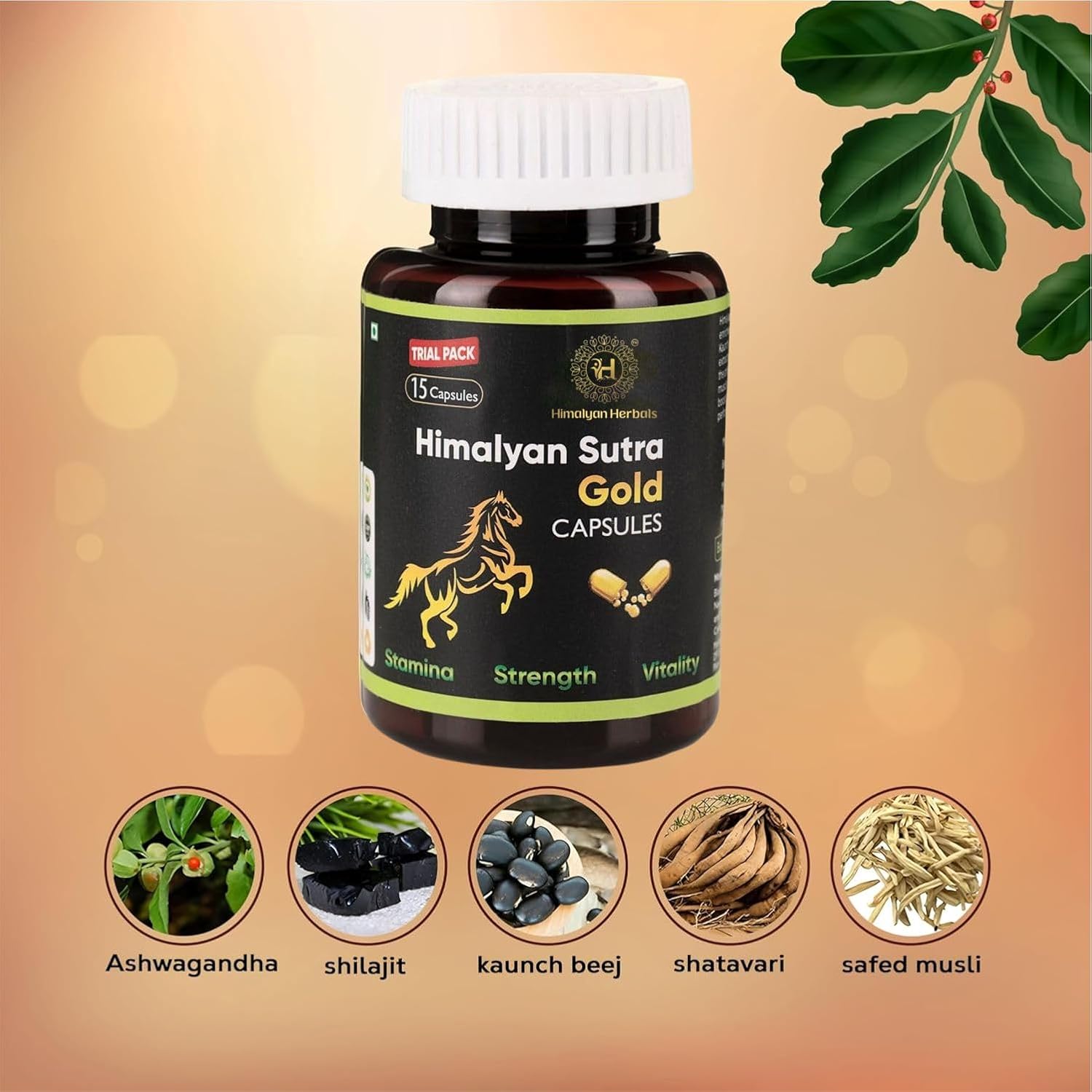 Himalyan Sutra Gold Power Capsules (15 Capsules Trial Pack) & Men’s Massage Oil (30ml) | Ayurvedic Herbal Supplement & Body Massage Oil Combo Pack for Men