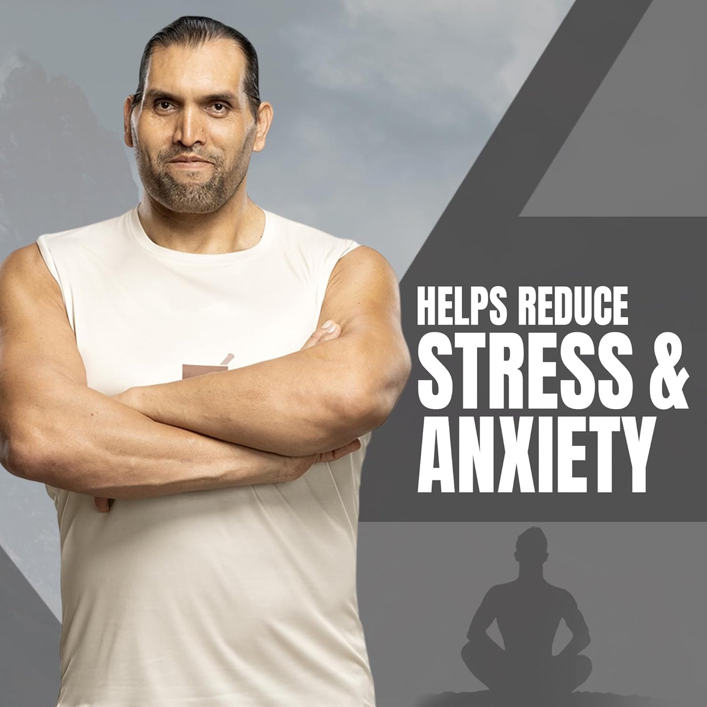 UPAKARMA Shilajit | Pure Extract Based (300 mg), Natural Strength & Stamina Booster |Lab Tested, R&D Backed 90 Veg Capsules- Pack of 2