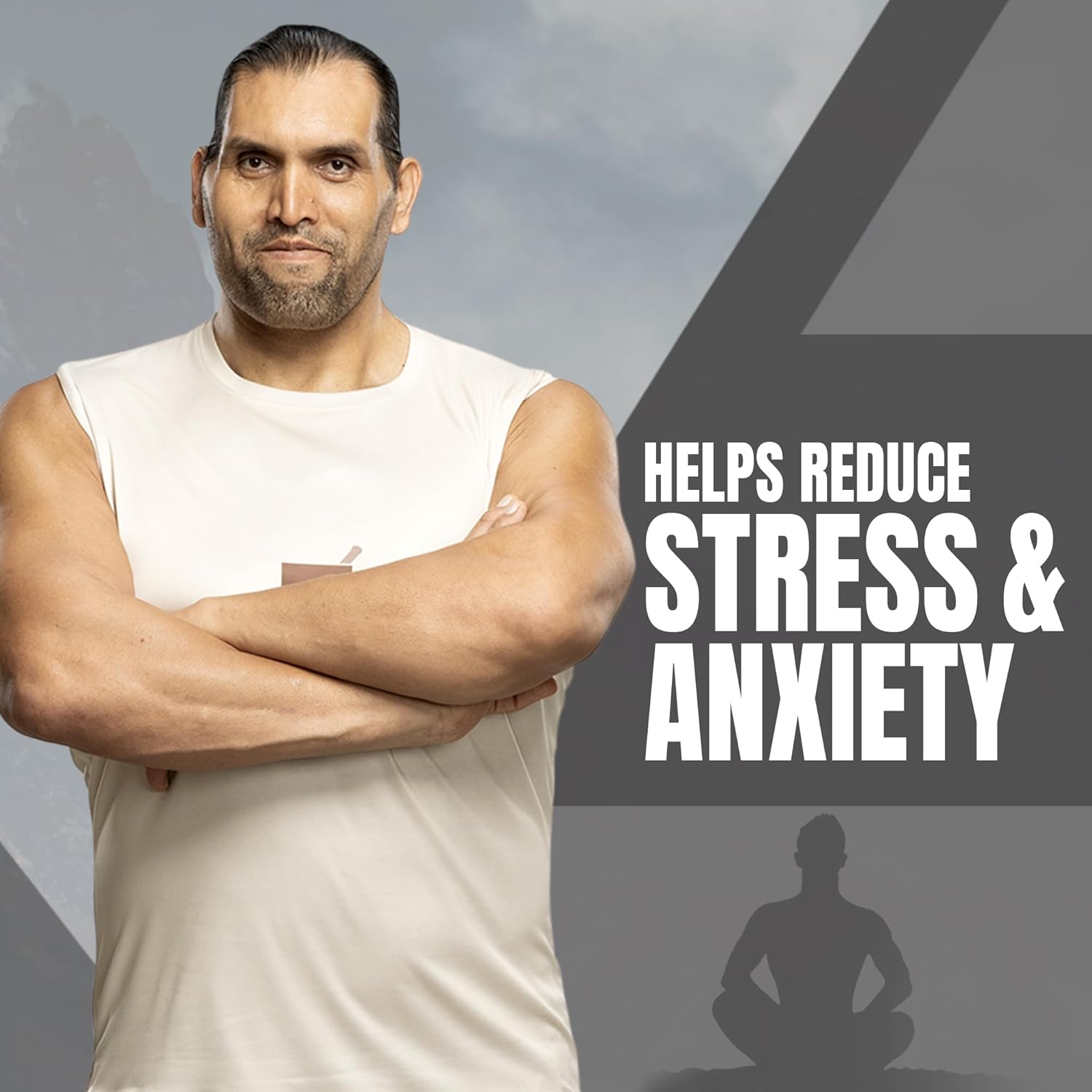 UPAKARMA Shilajit | Pure Extract Based (300 mg), Natural Strength & Stamina Booster |Lab Tested, R&D Backed 90 Veg Capsules- Pack of 2