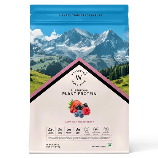 Wellbeing Nutrition Organic Vegan Plant Protein Isolate| 22g Protein, 5g BCAA, 3B CFU Probiotics, Digest Enzymes, 3g Fiber, 5 Alkalizing Greens| NO Bloating, Easy to Digest| Canadian Mixed Berry 500gm