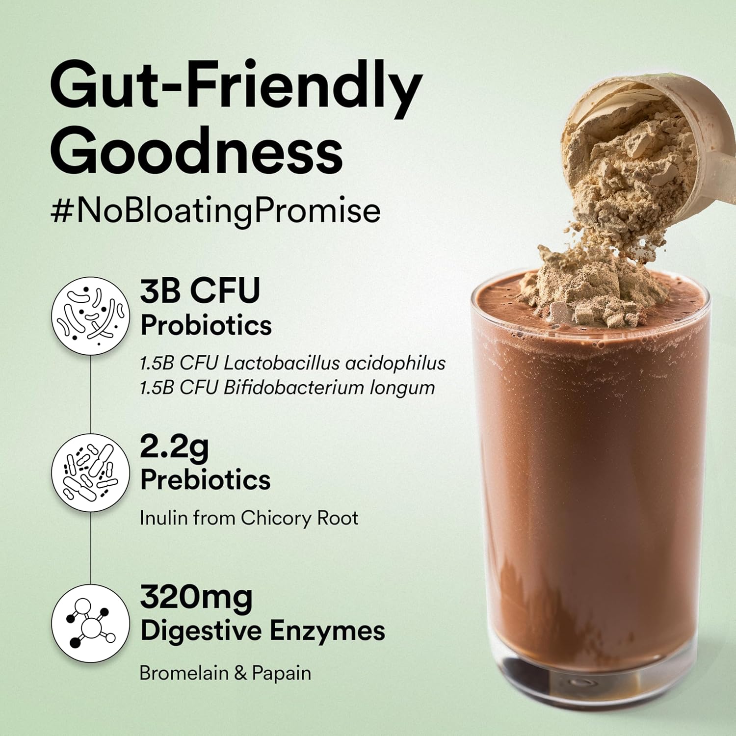 Wellbeing Nutrition Organic Vegan Plant Protein Isolate | 22g Protein, 5g BCAA, 3B CFU Probiotics, Enzymes, 3g Fiber, 5 Alkalizing Greens | NO Bloating, Easy to Digest| Belgian Dark Chocolate, 500gm