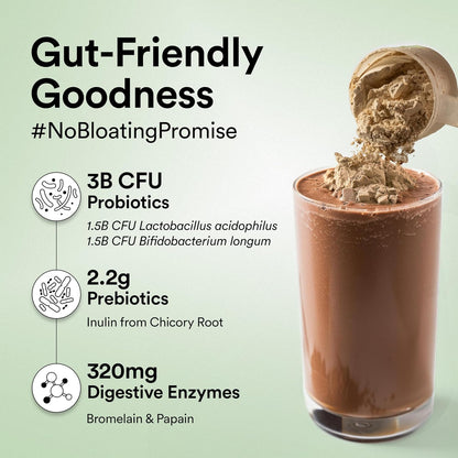 Wellbeing Nutrition Organic Vegan Plant Protein Isolate | 22g Protein, 5g BCAA, 3B CFU Probiotics, Enzymes, 3g Fiber, 5 Alkalizing Greens | NO Bloating, Easy to Digest| Belgian Dark Chocolate, 500gm