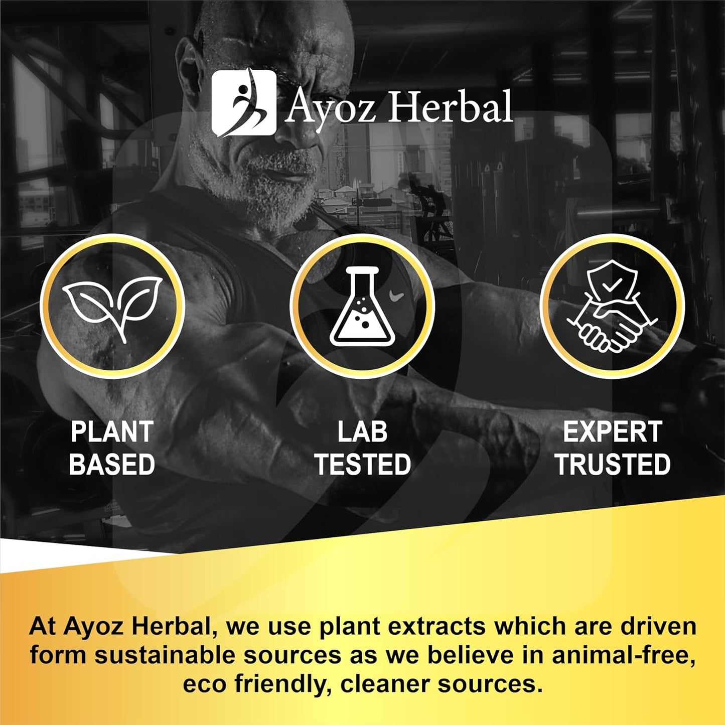 Kama Sutra Gold Capsules Recharge Energy 60 Capsules with Massage Oil 30ml Combo