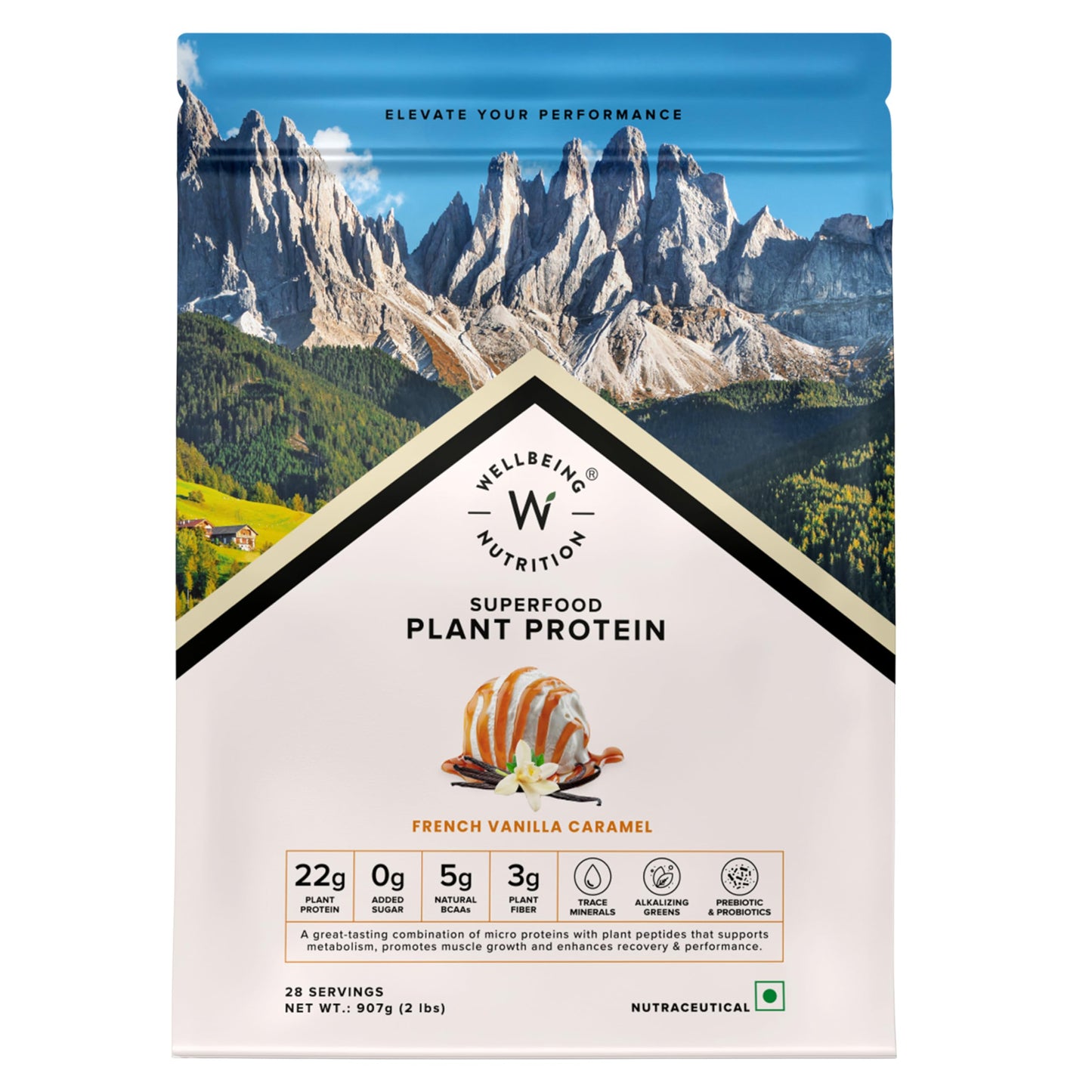 Wellbeing Nutrition Organic Vegan Plant Protein Isolate| 22g Protein, 5g BCAA, 3B CFU Probiotics, Digestive Enzyme, 3g Fiber, Alkalizing Green| NO Bloat, Easy to Digest| French Vanilla Caramel 500gm