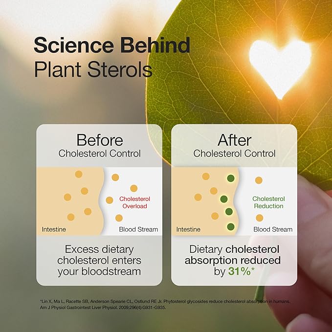 Wellbeing Nutrition Slow Cholesterol Control – 60 Capsules