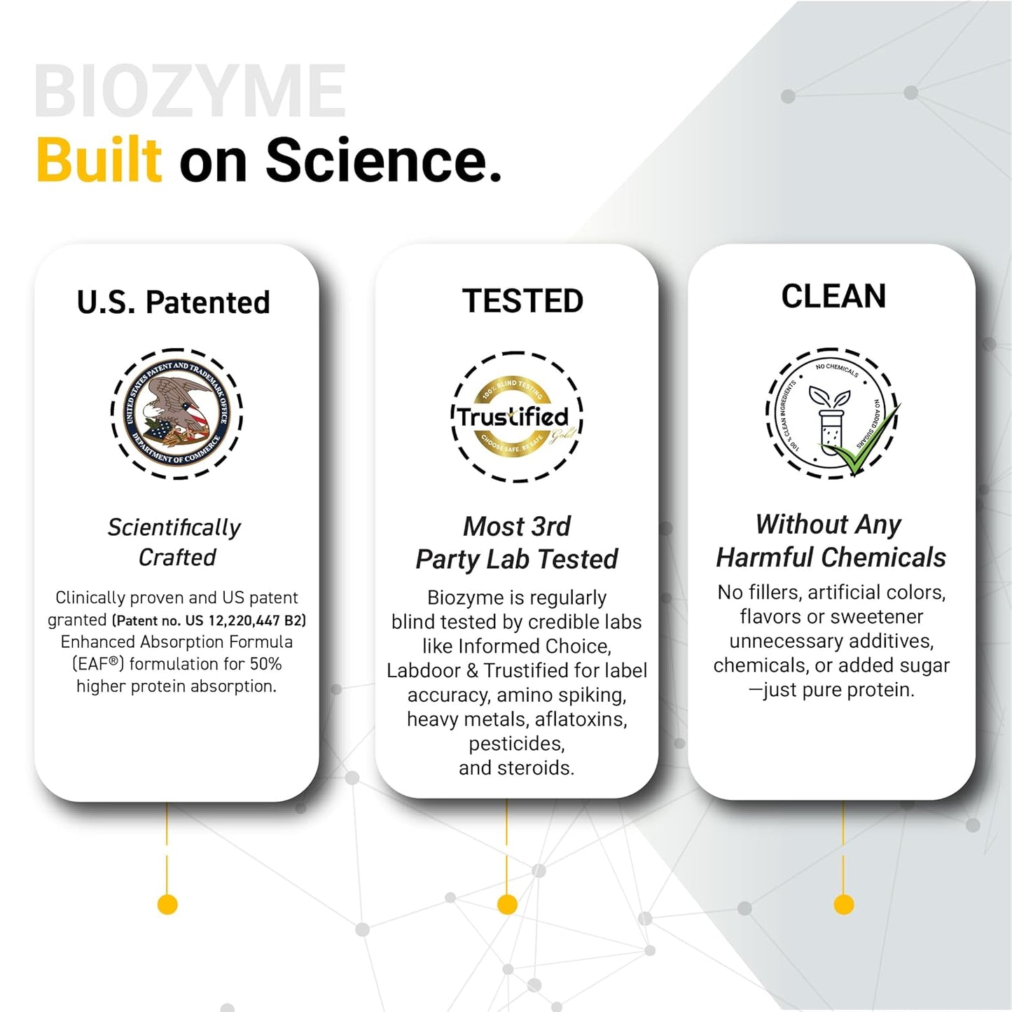 MuscleBlaze Biozyme Performance Whey Protein Powder, Chocolate Hazelnut (2kg / 4.4lbs) | 25g Protein Per Scoop | Clinically Tested 50% Higher Protein Absorption