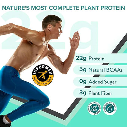 Wellbeing Nutrition Vegan Plant Protein Isolate – Banoffee Pie, 500g