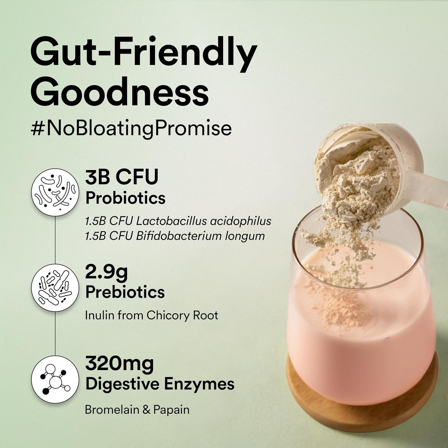 Wellbeing Nutrition Organic Vegan Plant Protein Isolate| 22g Protein, 5g BCAA, 3B CFU Probiotics, Digest Enzymes, 3g Fiber, 5 Alkalizing Greens| NO Bloating, Easy to Digest| Canadian Mixed Berry 500gm