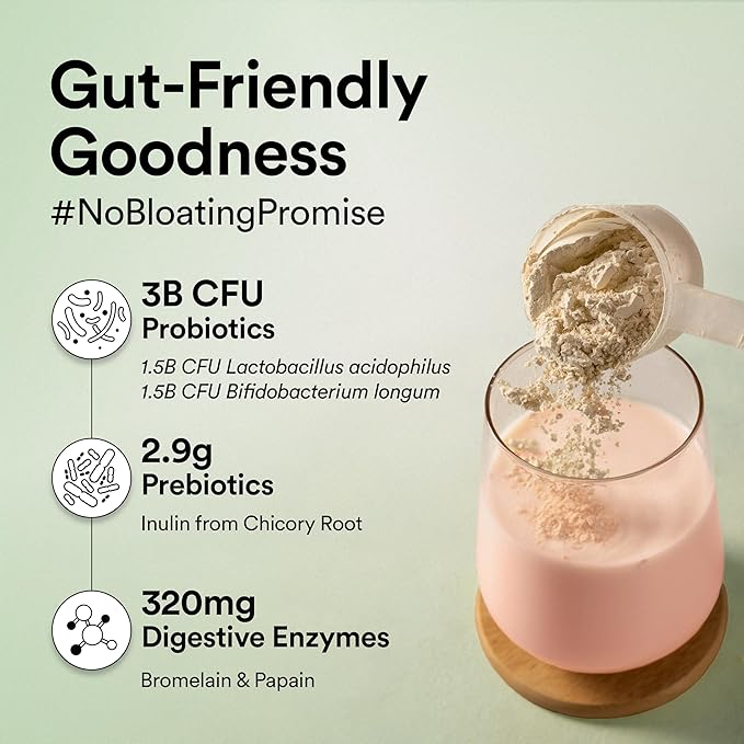 Wellbeing Nutrition Vegan Plant Protein Isolate – Mixed Berry, 500g