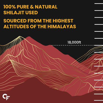 Carbamide Forte Shilajit Gold Capsules For Women With Pure Shilajeet Swarna Bhasma, Saffron & Ashwagandha | Himalayan Shilajit for Women | Shilajeet Gold Original | 60 Veg Capsules (Pack of 3)