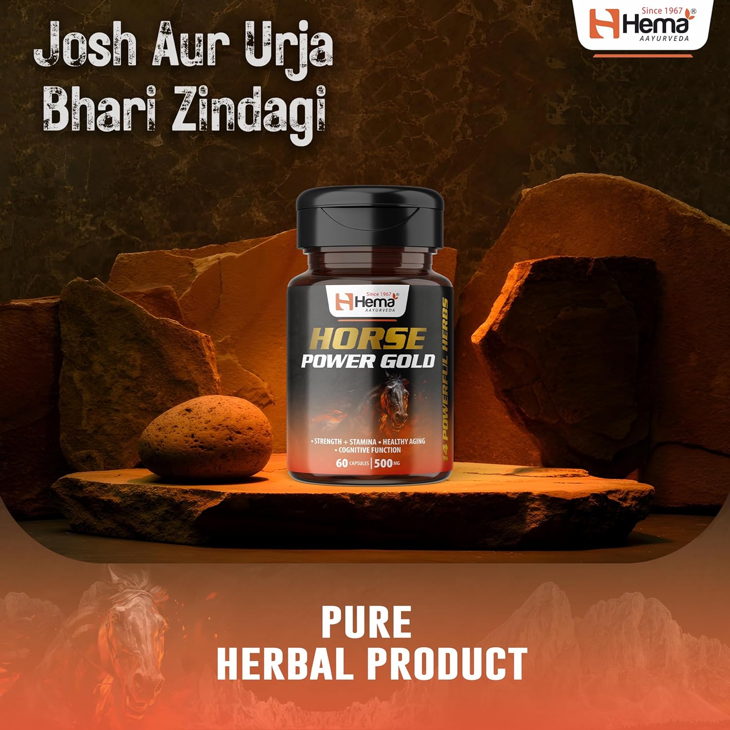 Horse Power Gold Capsule For Men | Enhances Stamina, Energy, and Power | Supports Healthy Testosterone Levels | 60 Capsules | Pack of 1