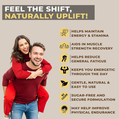 Jeena Sikho Shilajit 60 Tablets | 100% Herbal Supplement, Pack of 2