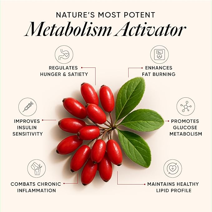 Wellbeing Nutrition Slow Liposomal Berberine HCL+ – 60 Veg Caps