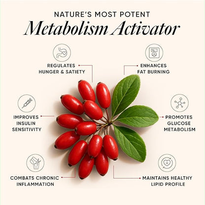 Wellbeing Nutrition Slow Liposomal Berberine HCL+ – 60 Veg Caps