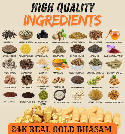 ShilaGold Shilajit Gold Capsules 850mg with Swarn Bhasm | 25 Ayurvedic Herbs like Shilajit, Ashwagandha & Safed Musli | For Play More Time - 60 Capsules