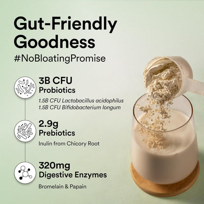 Wellbeing Nutrition Organic Vegan Plant Protein Isolate| 22g Protein, 5g BCAA, 3B CFU Probiotics, Digestive Enzyme, 3g Fiber, Alkalizing Green| NO Bloat, Easy to Digest| French Vanilla Caramel 500gm