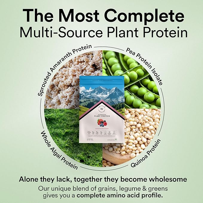 Wellbeing Nutrition Vegan Plant Protein Isolate – Mixed Berry, 500g