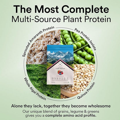 Wellbeing Nutrition Vegan Plant Protein Isolate – Mixed Berry, 500g
