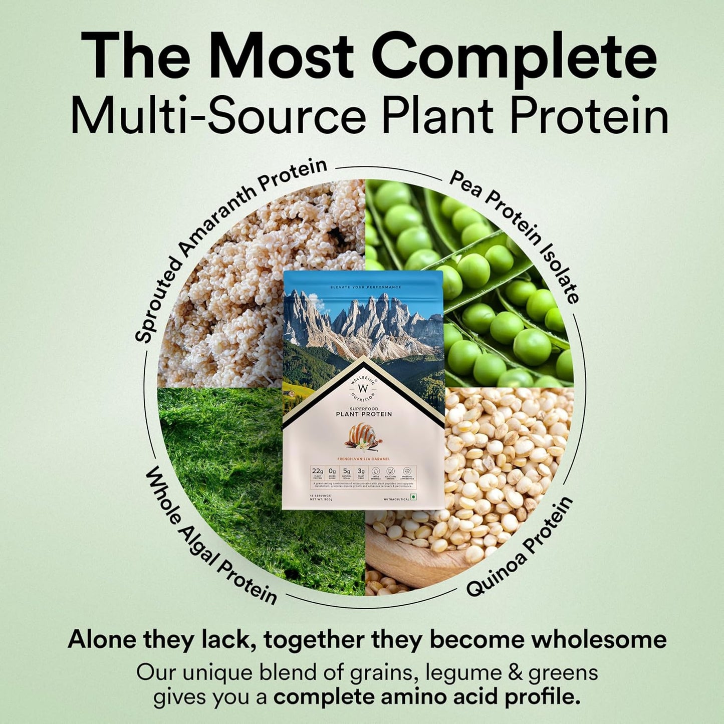 Wellbeing Nutrition Organic Vegan Plant Protein Isolate| 22g Protein, 5g BCAA, 3B CFU Probiotics, Digestive Enzyme, 3g Fiber, Alkalizing Green| NO Bloat, Easy to Digest| French Vanilla Caramel 500gm